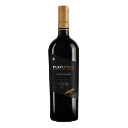 Vinho Paso de Los Andes Cabernet Sauvignon 750ml
