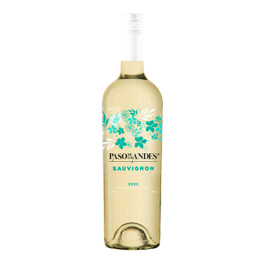 Vinho Paso de Los Andes Sauvignon Blanc 750ml