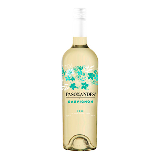 Vinho Paso de Los Andes Sauvignon Blanc 750ml