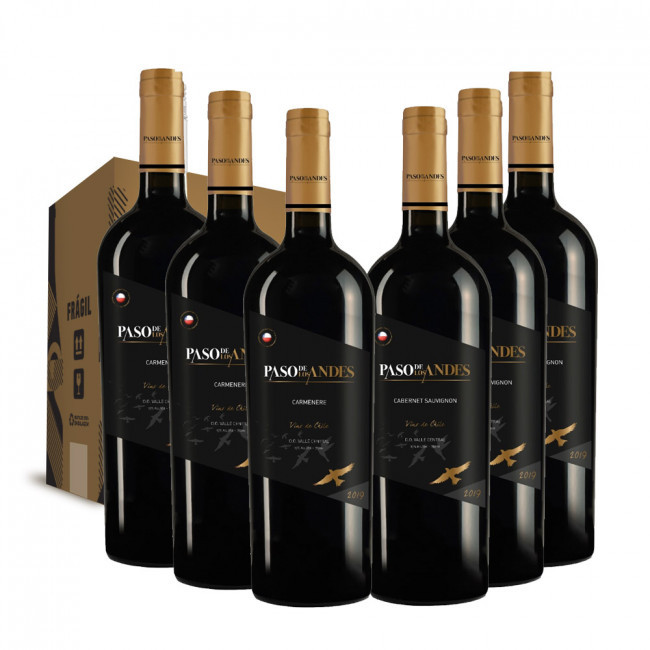  Kit Vinho Paso de Los Andes c/ 6 garrafas