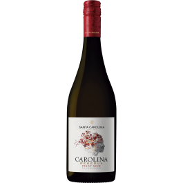 Vinho Carolina Reserva Pinot Noir 750ml