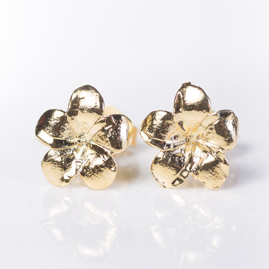 Brincos em ouro amarelo