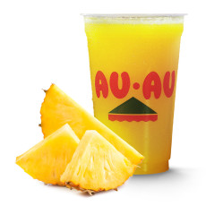 Suco de Abacaxi 500ml