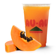 Suco de Mamão 500ml