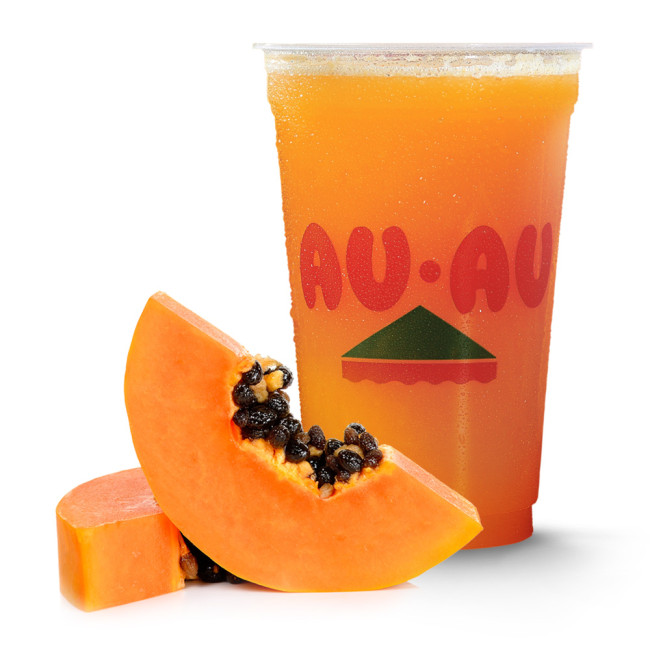 Suco de Mamão 500ml