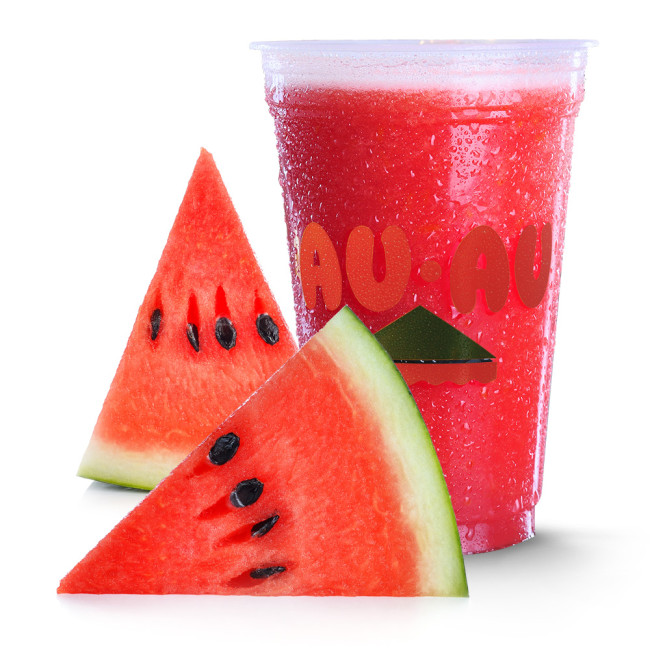 Suco de Melancia 500ml