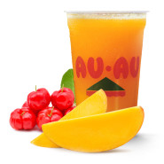 Suco Santorini 500ml