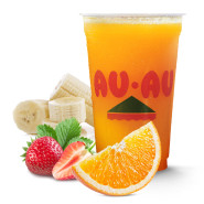 Suco Copacabana 500ml