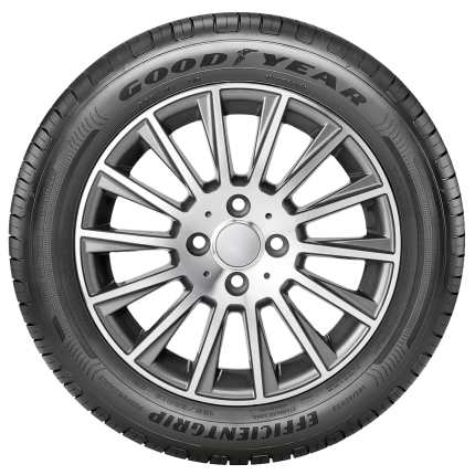 Pneu 205/55R16 Efficientgrip Perf 91V To Goodyear