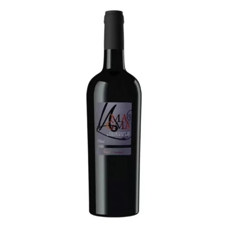 Magma Primitivo Di Manduria 2022