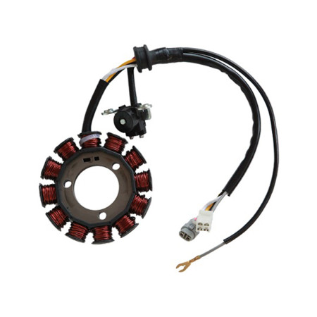 Estator Zouil Yamaha YBR 125 Factor (11-13)