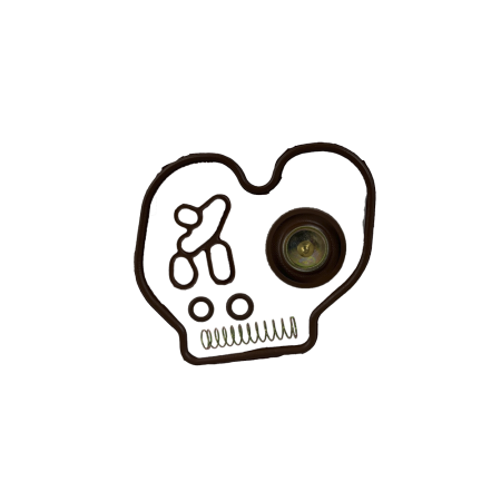 Kit Completo do Carburador RTO Honda CG 150 Sport (Guarnições + Válvula Compensadora)