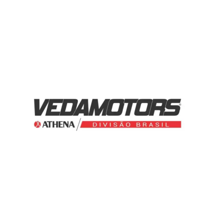 Filtro de Ar Vedamotors Honda CB 600F Hornet (05-07)