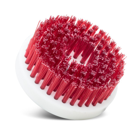 Kit de escovas rotativas Auto Crazy (4 unidades)