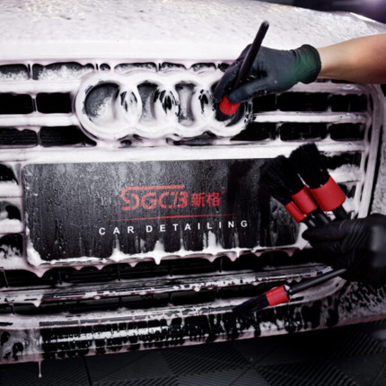 Kit de pincéis para detalhamento automotivo multifuncional SGCB (5 unidades)