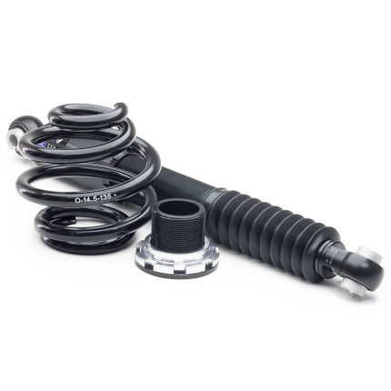 Suspensão Coilover D2 Racing Street Audi S3 4WD 8L (1999 a 2003)