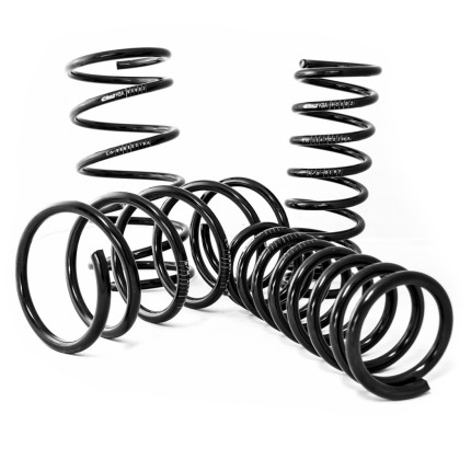 Kit de molas esportivas Eibach Volkswagen Passat sedan/SW 2.0 TFSI (2015+)