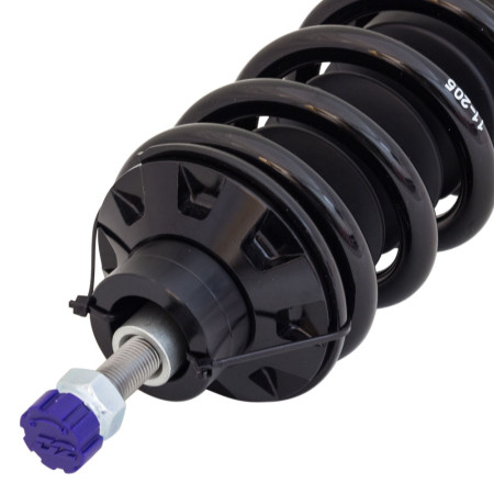 Suspensão Coilover D2 Racing Street Honda Fit 2008~2013