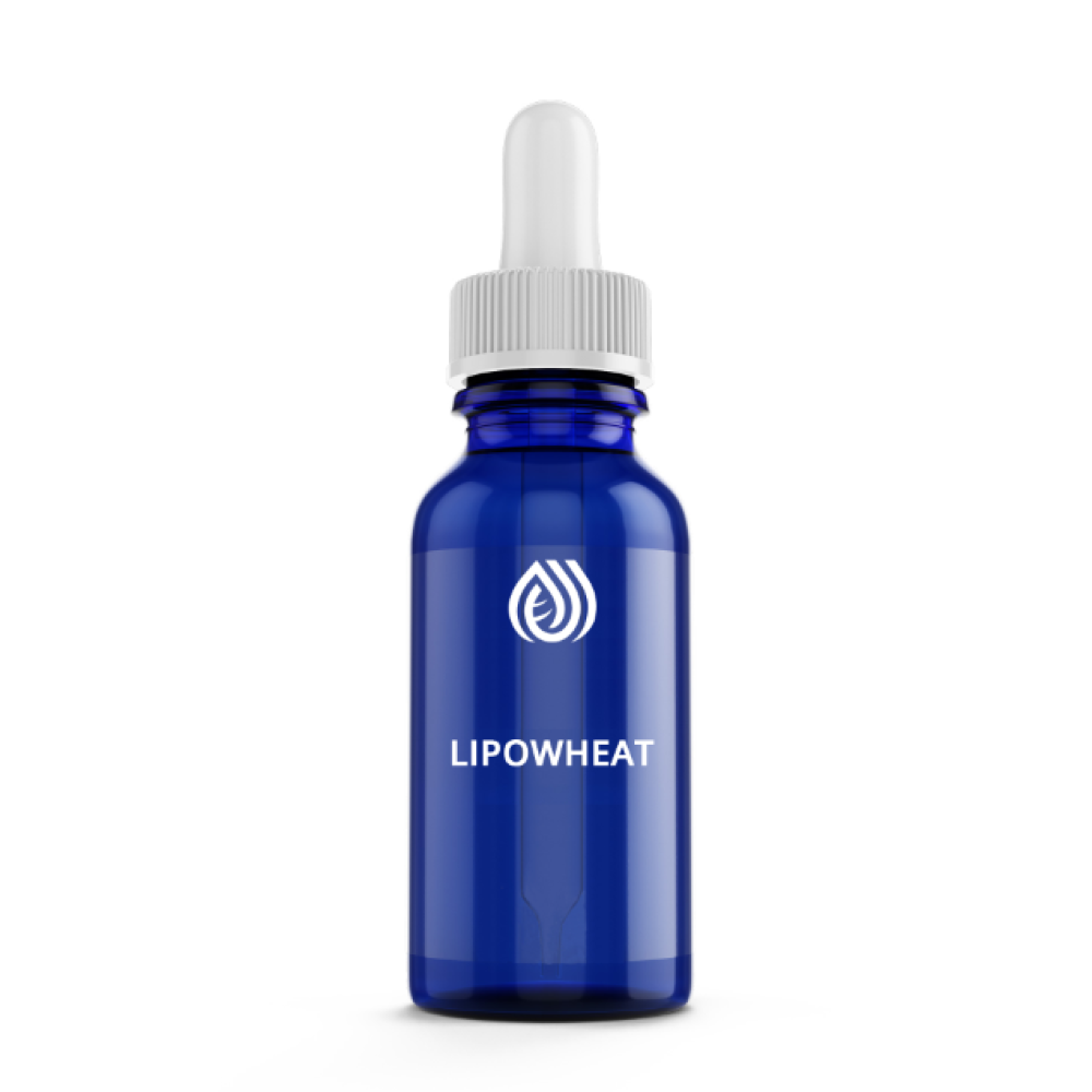 LIPOWHEAT – HIDRATAÇÃO DE DENTRO PARA FORA 30ML