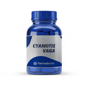 Cyanotis Vaga 200 mg - 60 cápsulas