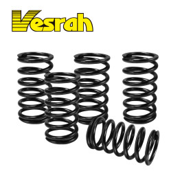Kit Molas de Embreagem Vesrah para Suzuki RM80/85 89/09