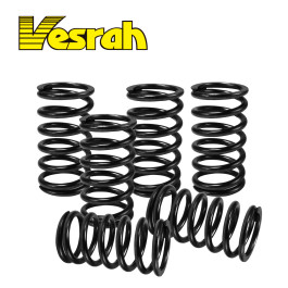 Kit Molas de Embreagem Vesrah para Yamaha YZ250 00/01 YZF450 05/06 WRF450 04