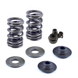 Kit Mola da Válvula de Admissão Original KTM para SX-F/XC-F250 16/17