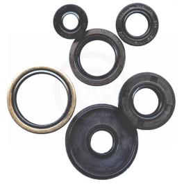 Kit Retentor do Motor Winderosa KTM SXF/XCF250/350 13/15 XCFW250 14/16 XCFW350 12/16  Husqvarna FE250 14/16 FC/FE350 14/16