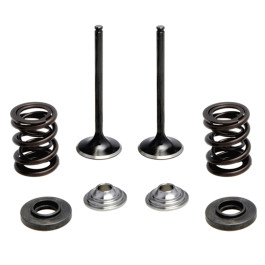 Kit Válvula de Admissão (Válvula Adm+Mola+Chapéu Inf/Sup) KPMI para Kawasaki KXF450 06/08