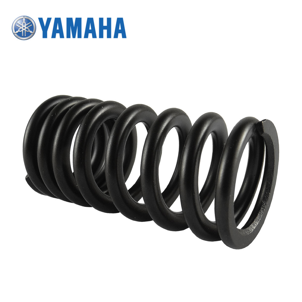 Mola da Válvula de Admissão Original Yamaha para WRF450 07/15