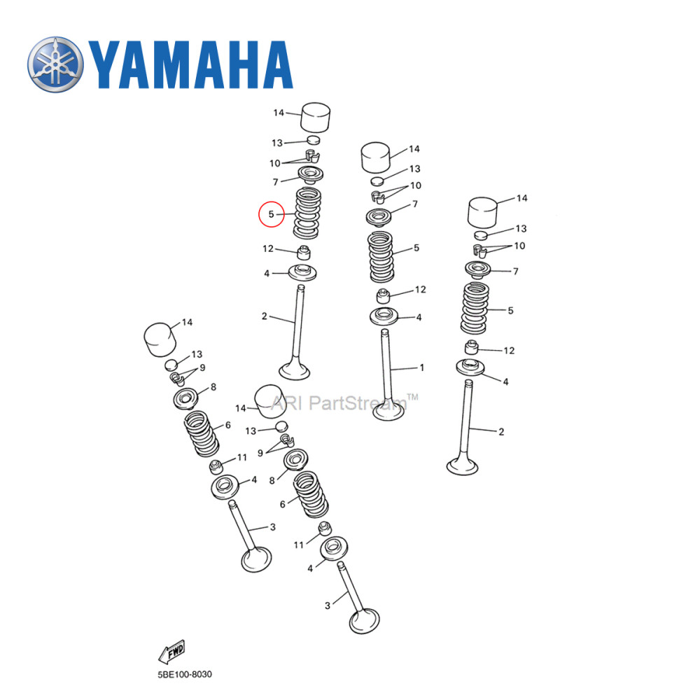 Mola da Válvula de Admissão Original Yamaha para WRF450 07/15
