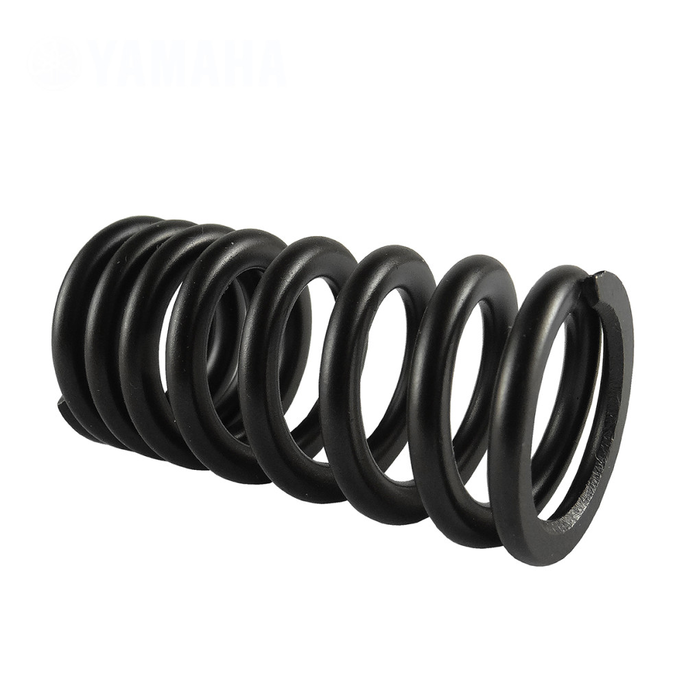 Mola da Válvula de Admissão Original Yamaha YZF250 17/18 YZ250FX 17/18 WRF250 18