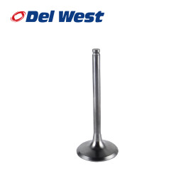 Válvula de Admissão Del West para Kawasaki KXF450 09/15