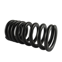 Mola da Válvula de Admissão Original Honda para CRF450 09/16