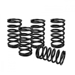 Kit Molas de Embreagem Vesrah para Yamaha YZ80/85 95/04