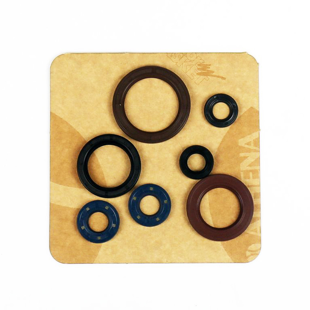 Kit Retentor do Motor para KTM EXCF250 17/23 SXF250 16/23 XCF250 16/21 SXF/XCF350 16/21 EXCF350 17/18 Husqvarna FC250/350 16/21 FE250 17/23 - Athena