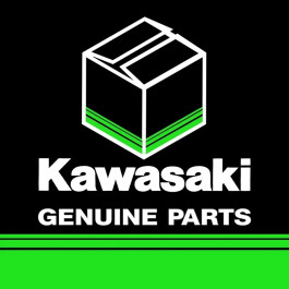 MOLA VALVULA ESCAPE ORIGINAL KAWASAKI KXF 250 19/23 KX 250 XC 21 NINJA ZX 10R 16/22