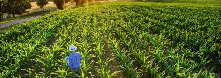Agronegócio: as safras de 2023 podem bater recordes