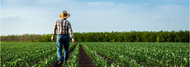 Conheça a nova era da pulverização agrícola