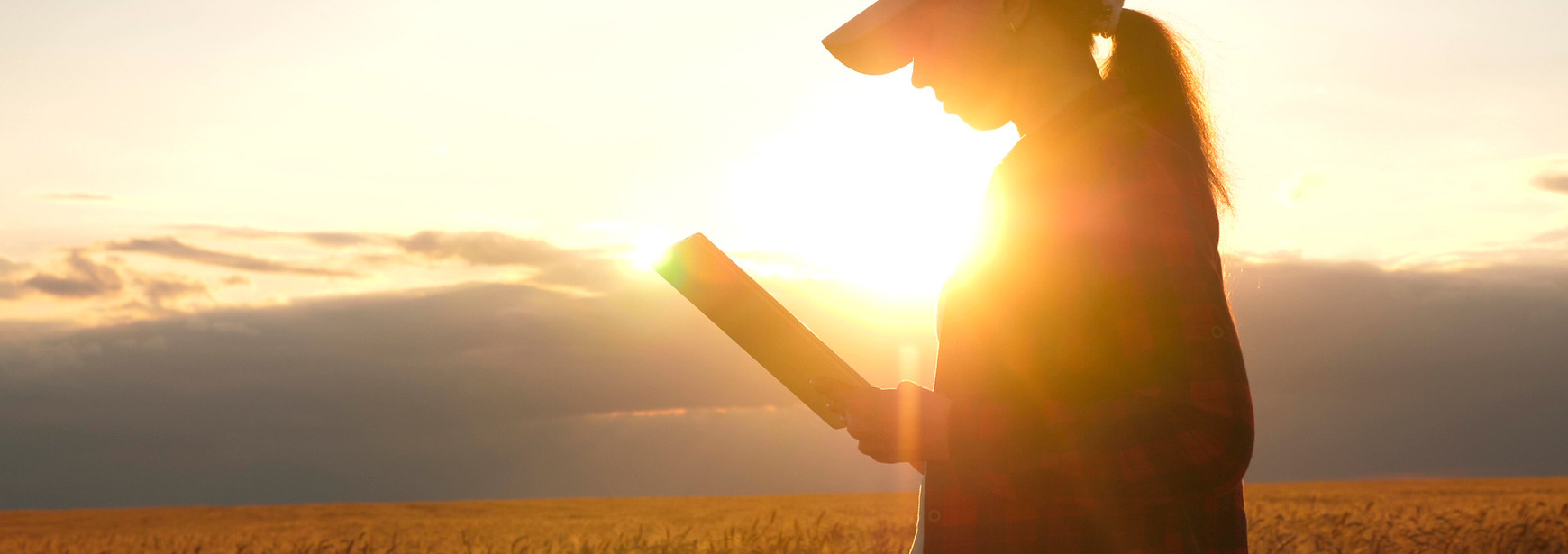 Força e determinação: Mulheres no Agro