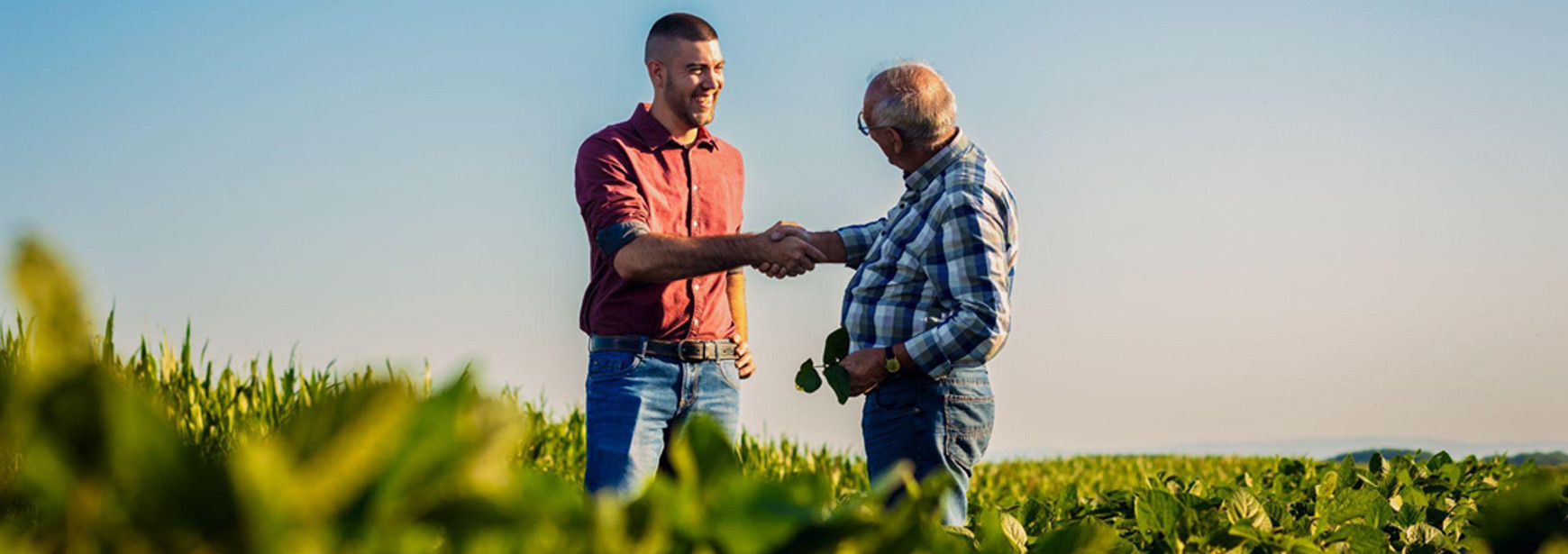 28 de julho, dia de celebrar os agricultores brasileiros