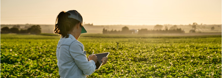 O Papel Fundamental das Mulheres Na Agricultura