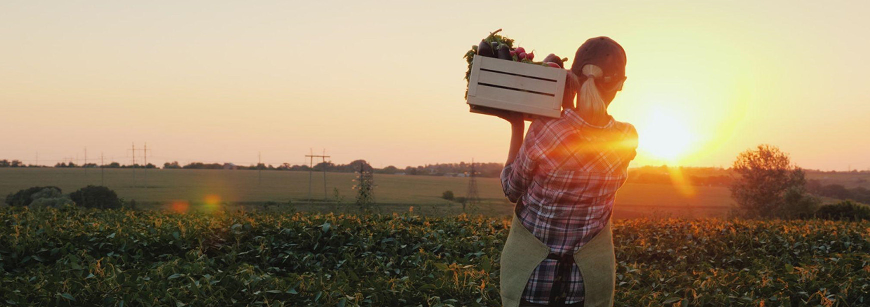 Comemore o Dia do Agricultor com a Forza
