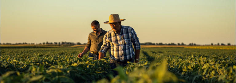 Sustentabilidade no campo: é possível unir o agronegócio ao sustentável? 