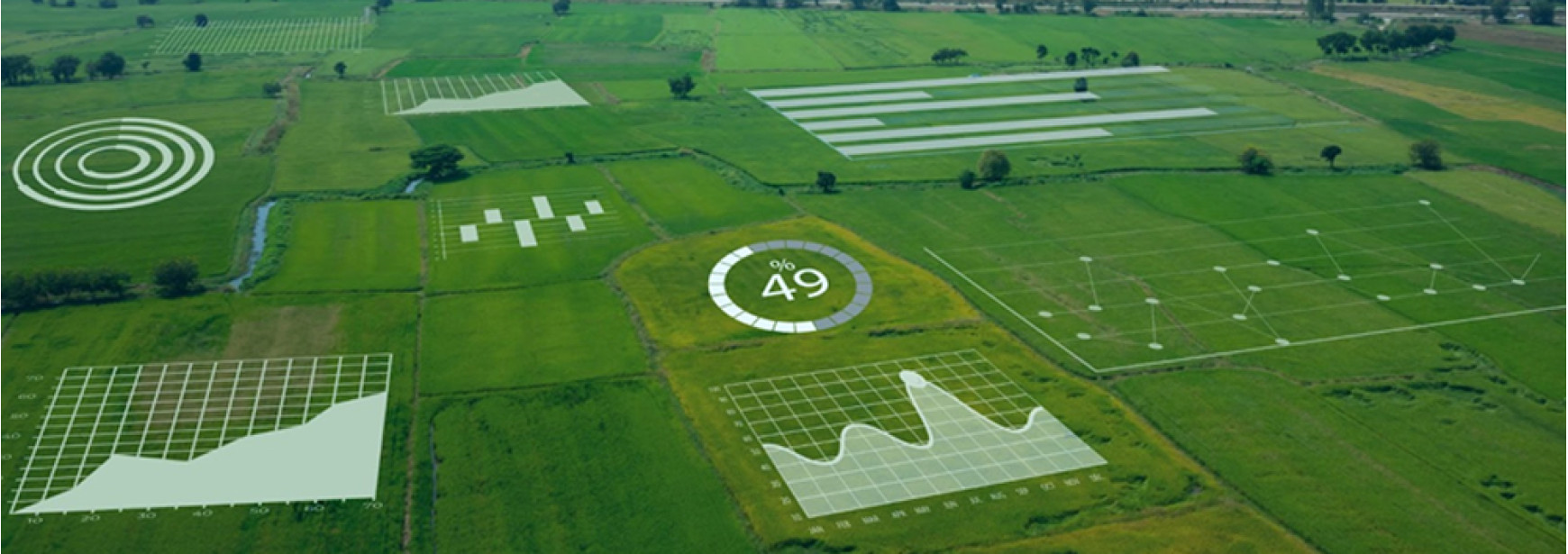 Portais Conectados: A Tecnologia a Favor da Agricultura 