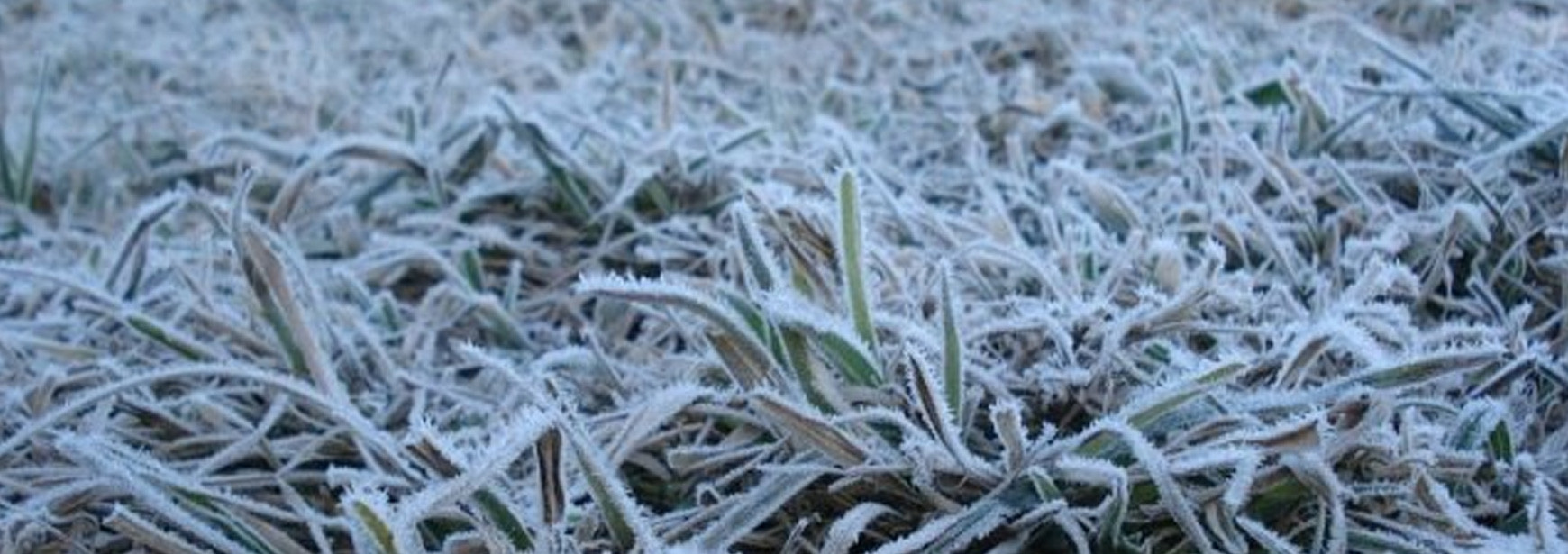Como cuidar da sua máquina no Inverno