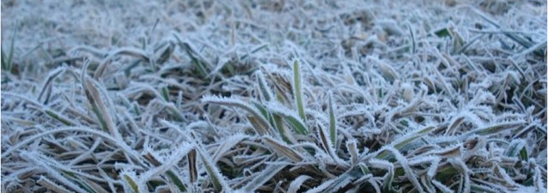 Como cuidar da sua máquina no Inverno