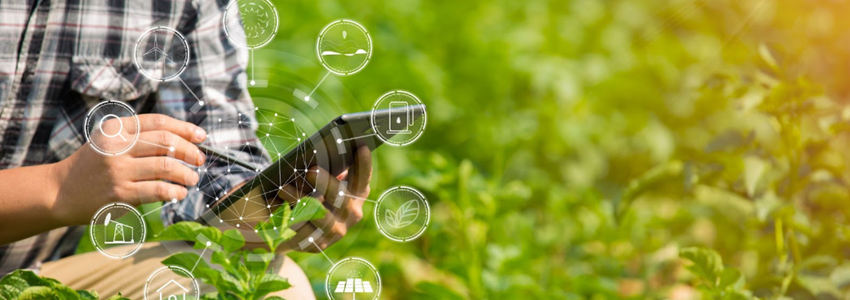 As principais tendências tecnológicas no agronegócio para 2024