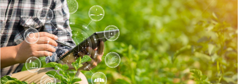 As principais tendências tecnológicas no agronegócio para 2024