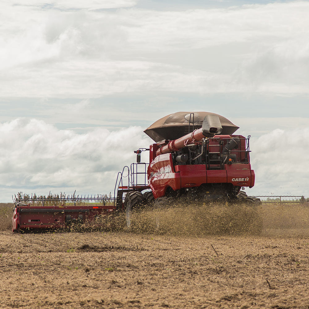 Colheitadeira - Axial-Flow 9250